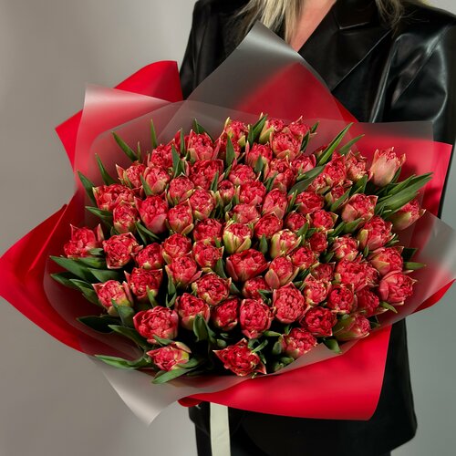 Букет из 75 пионовидных красных тюльпанов