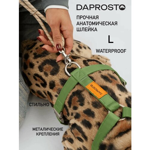 Дизайнерская шлейка прогулочная waterproof DAPROSTO "Green Joy", нейлон, для французского бульдога , размер L