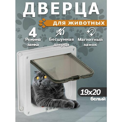 Дверца для животных врезная, котоход, лаз, тоннель для кошек и собак