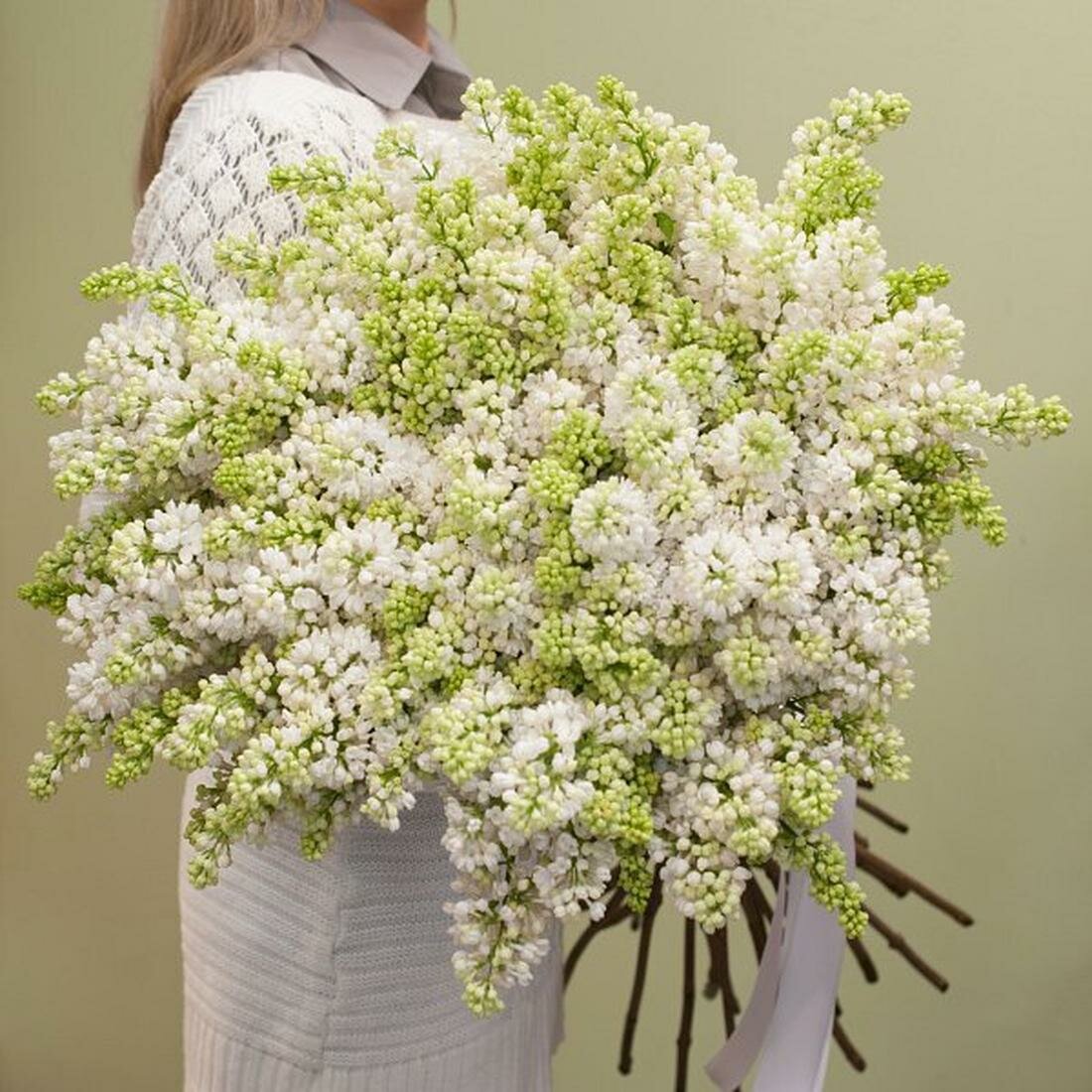 Букет "Белая сирень" Charlotte 29 цветов высота букета 60 см