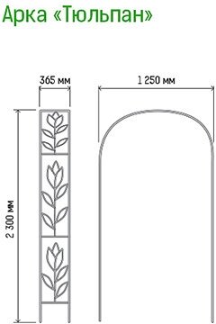 Арка для вьющихся растений "Тюльпан" 230х36,5см, дуга 125см, труба д1,6см, прямая, разборная, металл, зеленая эмаль (Россия) - фотография № 5