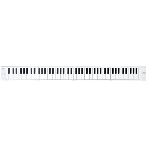 Цифровое пианино Blackstar Carry-On 88 гитарный комплект blackstar carry on lite white