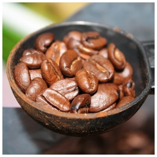 Молотый кофе 100% натуральная арабика, средняя обжарка Santo Domingo CARACOLILLO, Санто Доминго, 453 г, Доминиканский кофе - фотография № 6