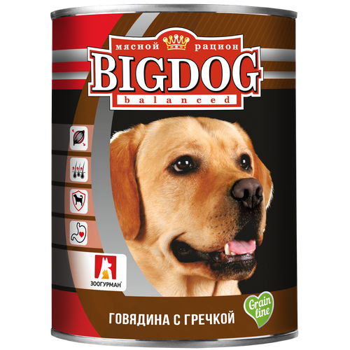 Влажный корм для собак Зоогурман Big Dog, говядина, с гречкой 1 уп. х 1 шт. х 850 г (для средних и крупных пород) влажный корм для собак зоогурман big dog говядина баранина 1 уп х 1 шт х 850 г для средних и крупных пород