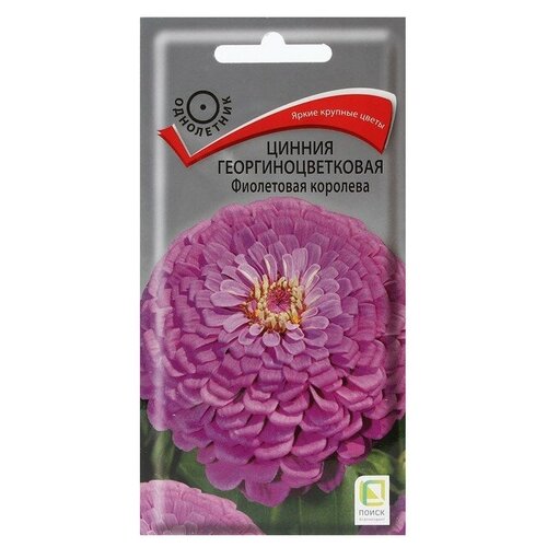 Семена цветов Цинния георгиноцветковая Фиолетовая королева 0,4 г 4 шт