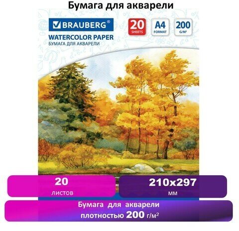 Бумага для акварели А4, 20 л, 200 г/м2, 210х297 мм, BRAUBERG, "Осенний лес", 125226