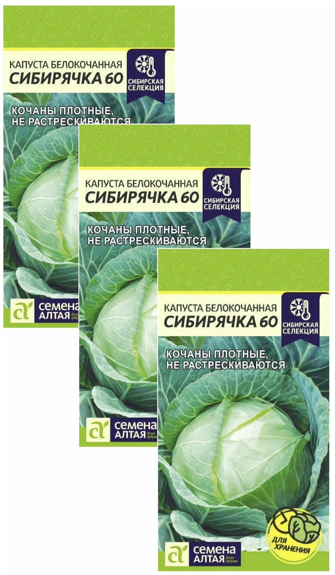 Семена Капуста Белокочанная Сибирячка 60 Среднеспелые 05 гр. х 3 шт.