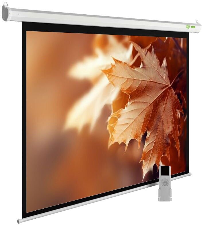 Экран Cactus 188x300см MotoExpert CS-PSME-300x188-WT 16:10 настенно-потолочный рулонный белый (моторизованный привод)
