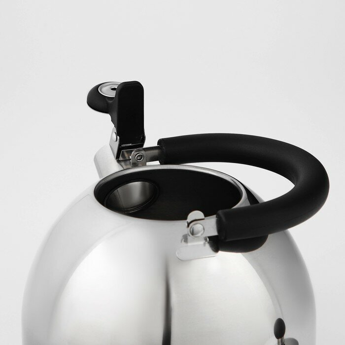 Чайник на плиту Катунь - фото №16