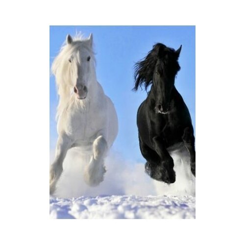 Дыхание тепла Электрообогреватель бытовой настенный рис Пегас Артикул 19с425 156400₽