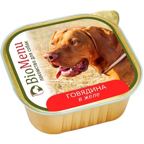 BIOMENU для взрослых собак с говядиной в желе (300 гр)