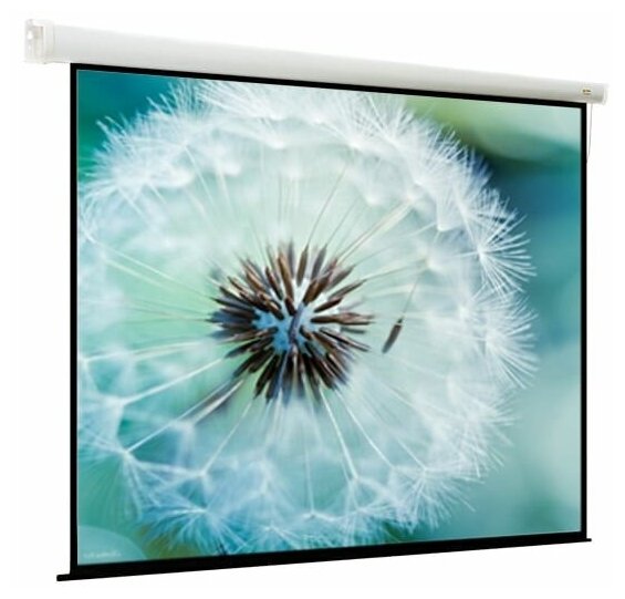 ViewScreen Breston (1:1) 305*305 (297*297) MW - Моторизированный проекционный экран