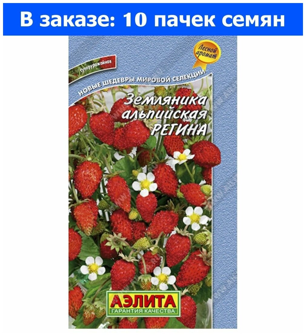 Земляника регина описание сорта фото