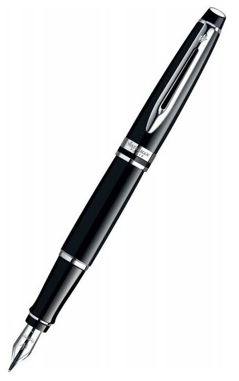 Перьевая ручка Waterman Expert 3, цвет: Black CT, перо: F