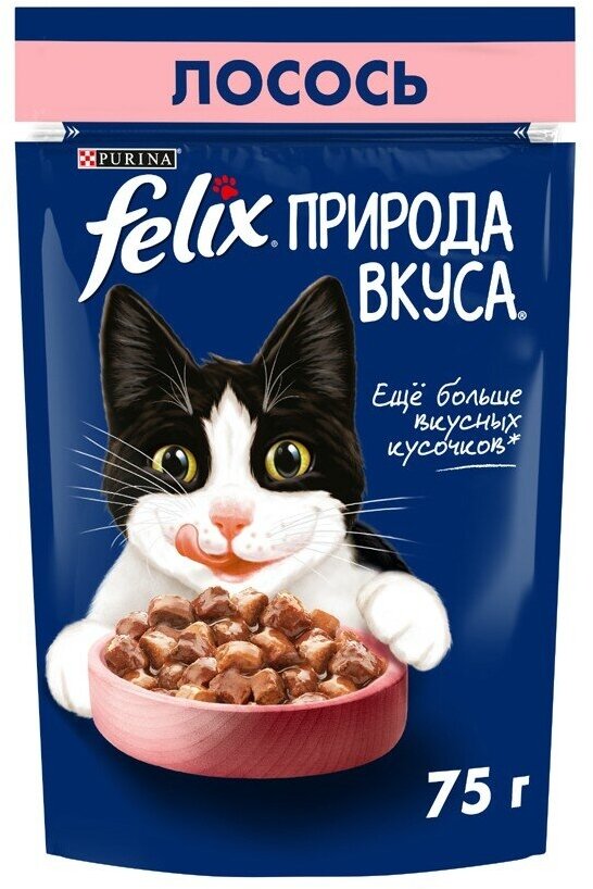 Felix Природа Вкуса влажный корм для взрослых кошек, с лососем в соусе (26шт в уп) 75 гр - фотография № 3