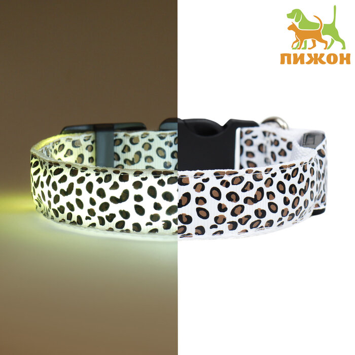 фото Ошейник с подсветкой Леопард 3 режима свечения, размер S, ОШ 22-40 х 2,5 см белый