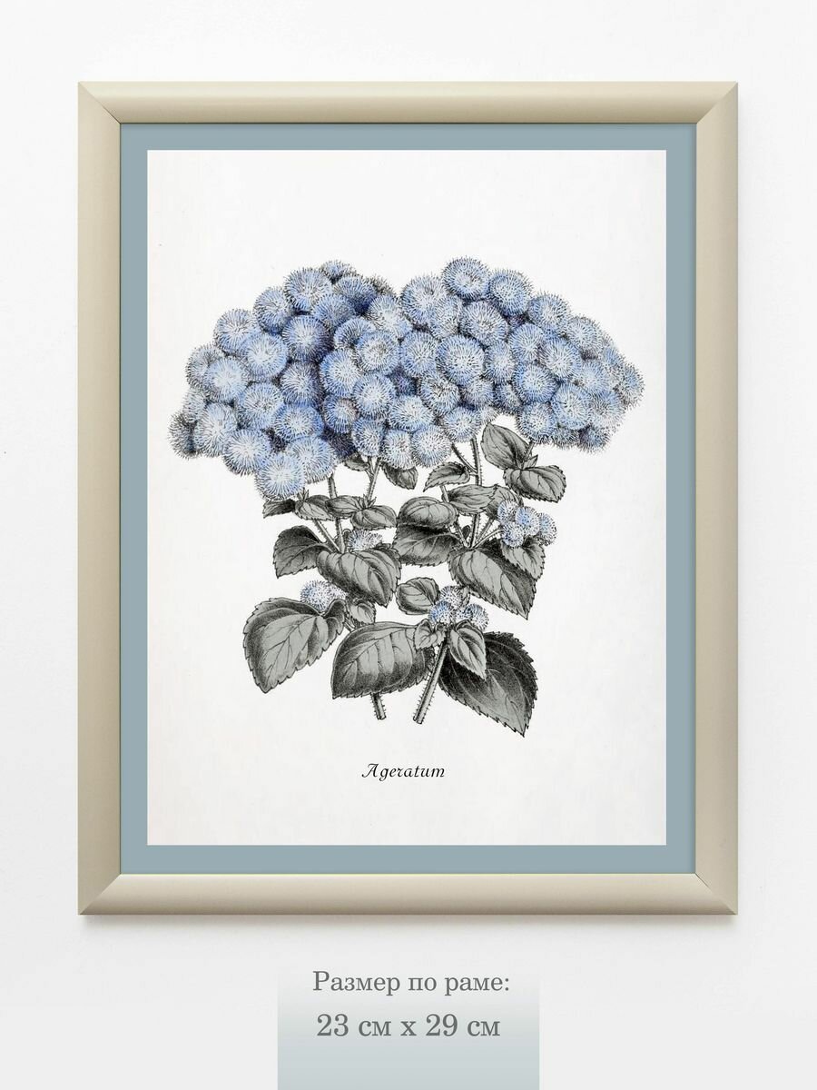 Картина серии "Нежность" на натуральном хлопковом холсте в багетной раме