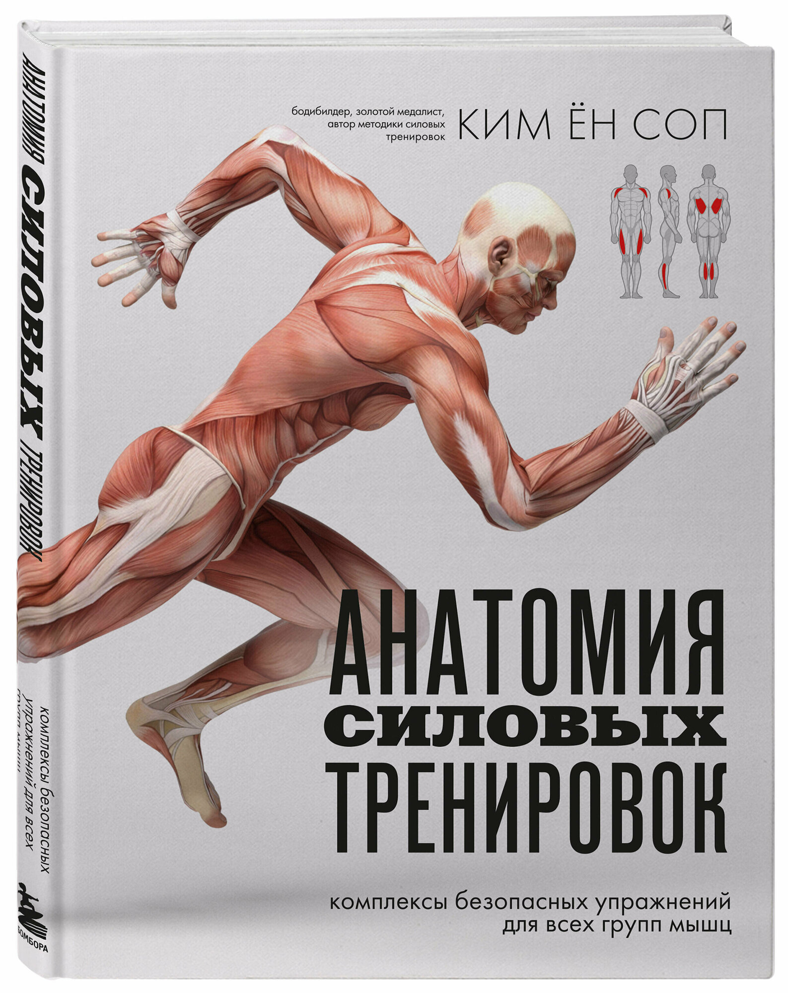 Анатомия силовых тренировок (Ким Ён Соп) - фото №1