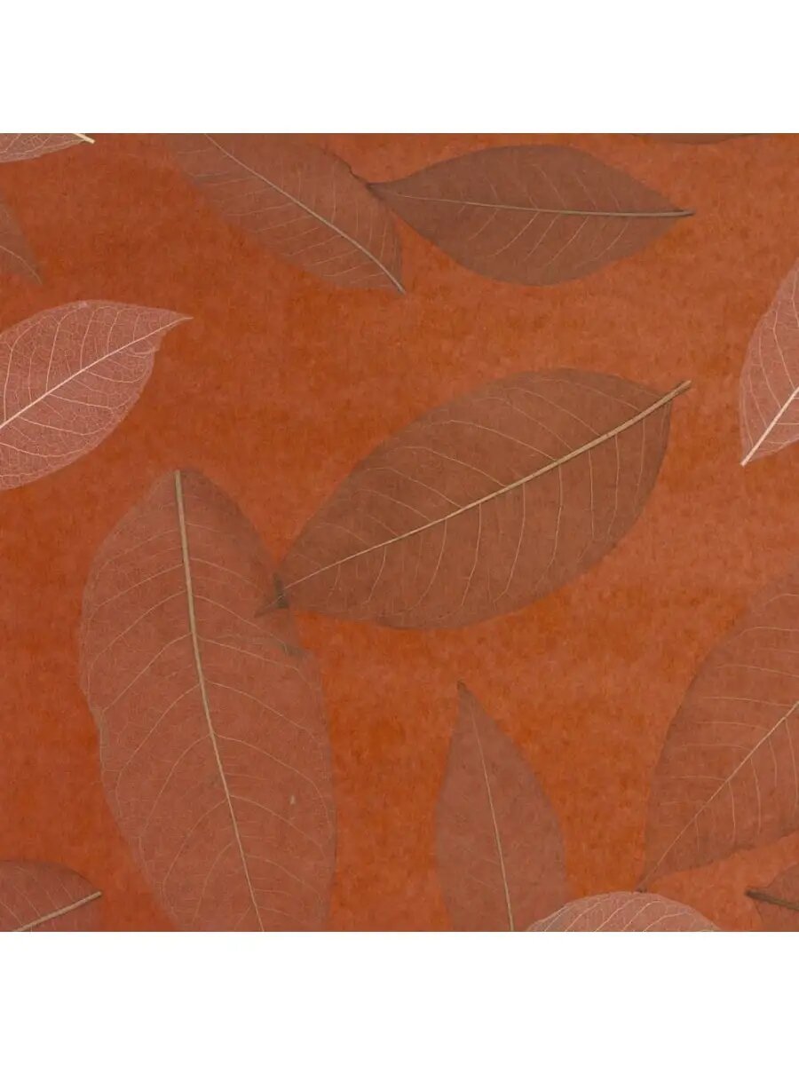 фото Декоративные обои бумажные Cosca Листья Прима Азуль Platinum