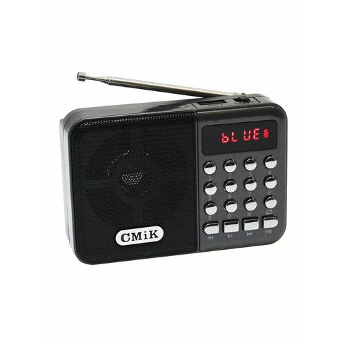 Радиоприемник цифровой 800₽