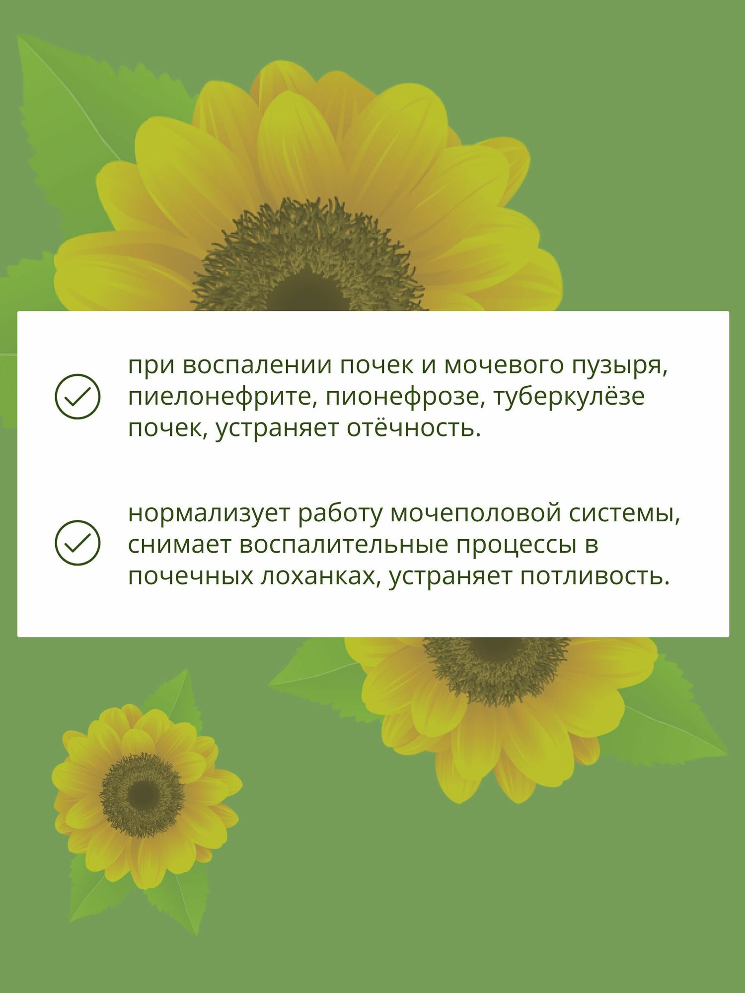 Картинки Травяной сбор № 11 чай мочегонный, при воспалении почек, мочевого пузыря, цистите, от отеков