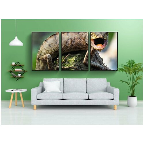 фото Набор модулных постеров для интерьера "дикой природы, видах саламандр, саламандры забор" 60x90 см. в тубусе, без рамки lotsprints