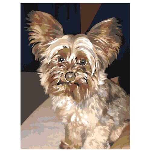 Картина по номерам, Живопись по номерам, 54 x 72, ETS306-3040, пёс, пушистое животное, питомец, домашний, милый, щенок