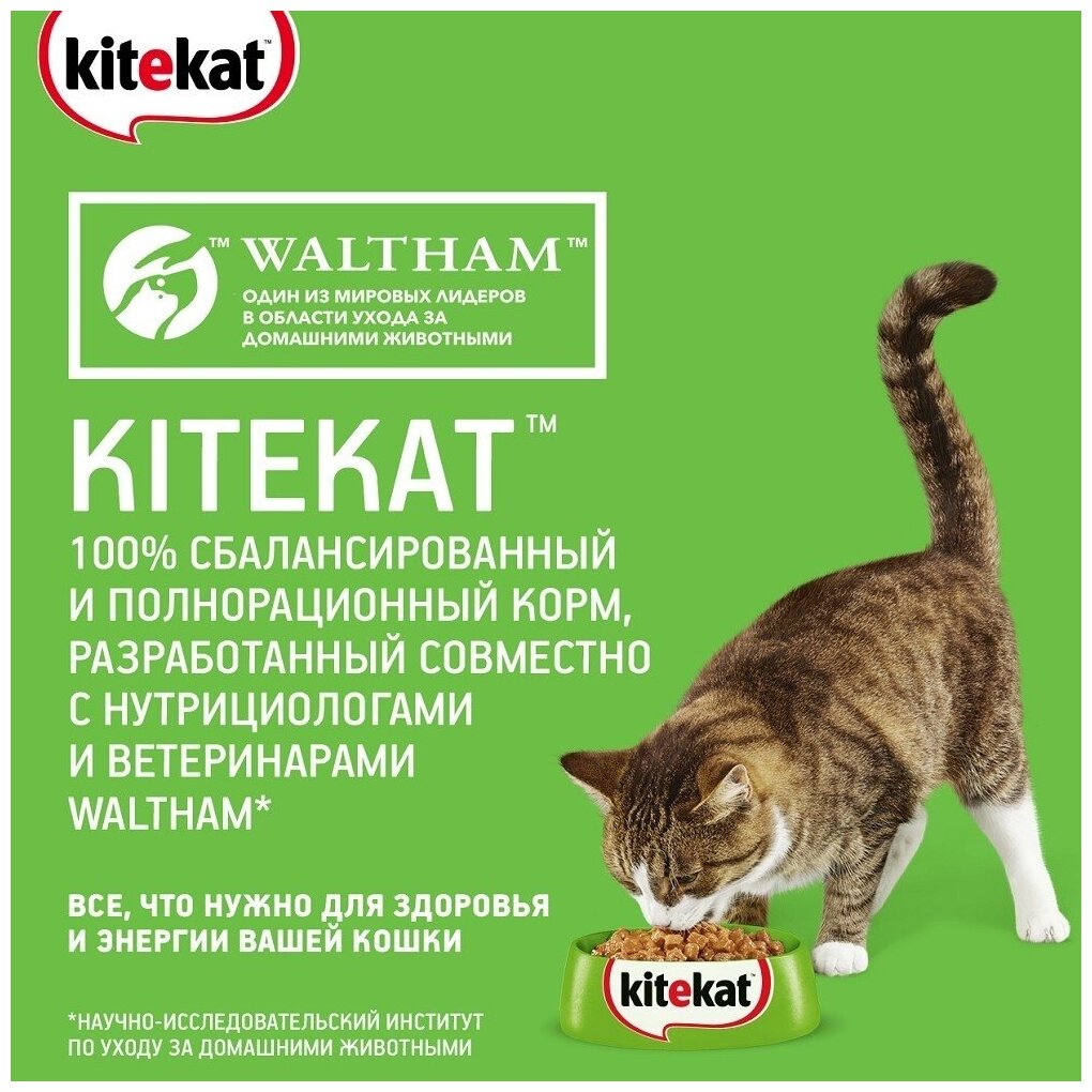 Корм для кошек (в желе) Kitekat Нежный Кролик 85 г - фотография № 6