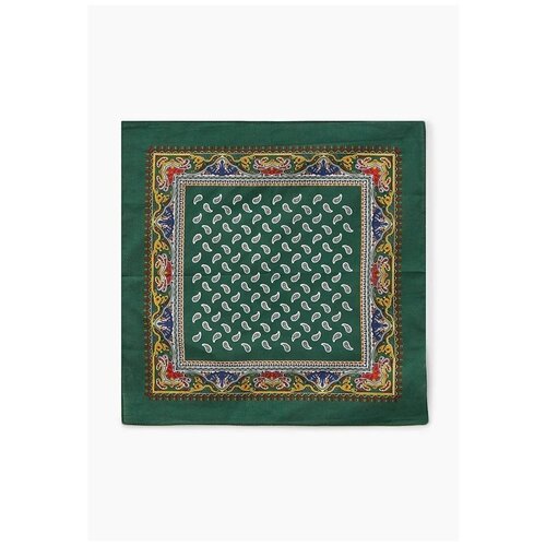 Носовой платок , зеленый бумажные носовые платки amra платочки бумажные двухслойные белые с ароматом розы
