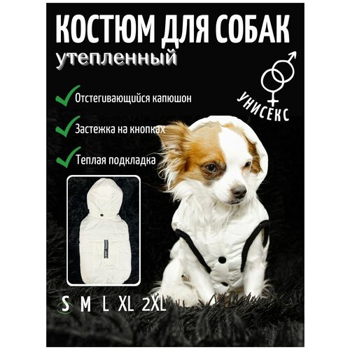 Зимняя куртка с капюшоном для собак и кошек