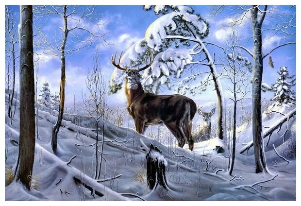 Постер на холсте Олень (Deer) №1 45см. x 30см.