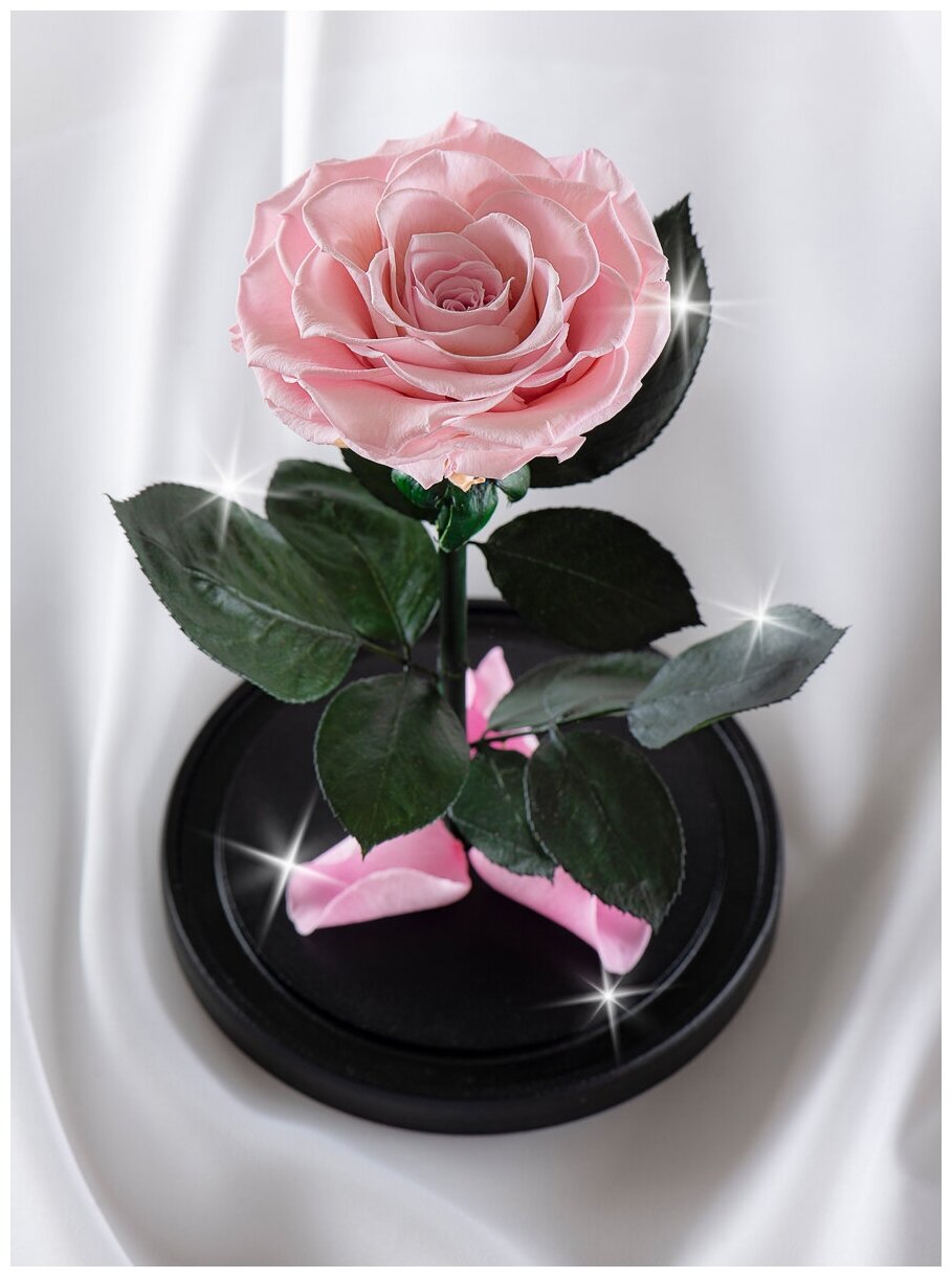 Живая Роза в колбе Therosedome Premium хит 11 см стабилизированная, цветок в колбе, вечная роза, подарок, декор для интерьера, цвет: нежно-розовая