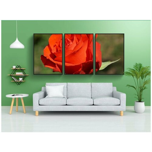 фото Набор модулных постеров для интерьера "оранжевая роза, роза, цветок" 60x90 см. в тубусе, без рамки lotsprints