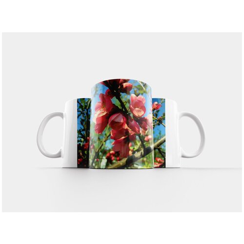 фото Кружка "декоративная айва, цвести, blossom" 320 мл lotsprints