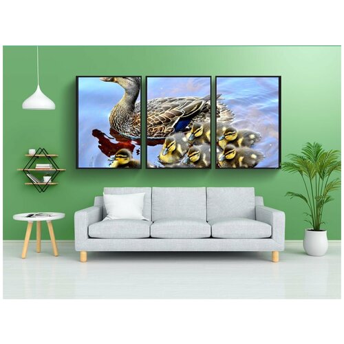 фото Набор модулных постеров для интерьера "утка, утята, озеро" 60x90 см. в тубусе, без рамки lotsprints