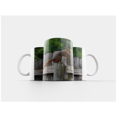 фото Кружка "белка, грызун, животное" 320 мл lotsprints