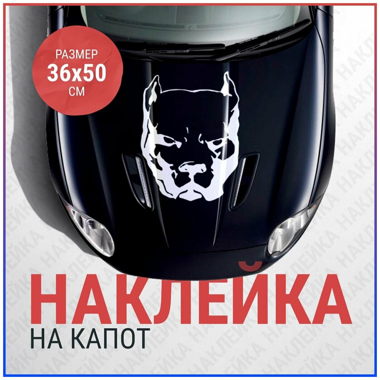 Наклейка на капот Питбуль. Наклейка на авто Pitbull 36x50 см