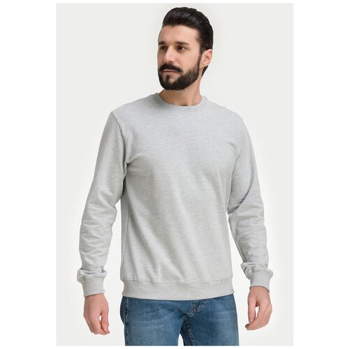 Свитшот мужской GREG G121-OZ02-28 (св.серый м.), Прямой силуэт / Сlassic fit, цвет Серый, размер 52-54