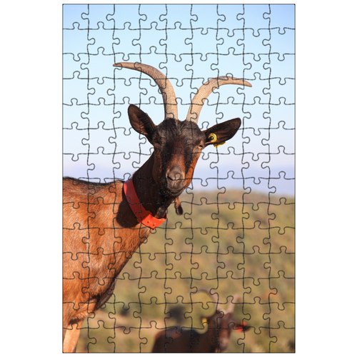 фото Магнитный пазл 27x18см."коза, ферма, рога" на холодильник lotsprints
