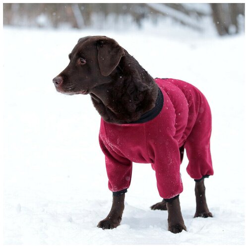 фото Комбинезон для собак из флиса на молнии р.28 (сука) osso fashion