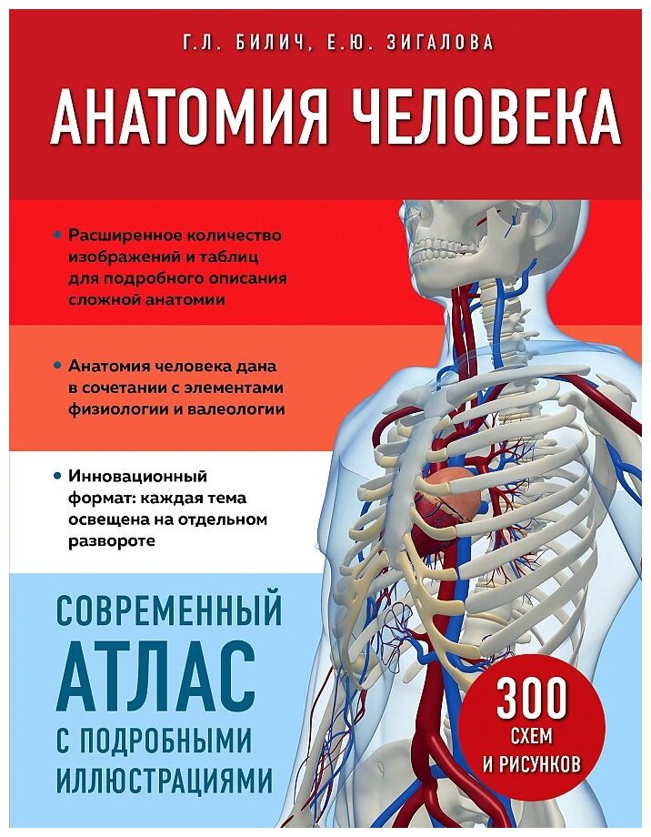 Анатомия человека. Современный атлас с подробными иллюстрациями - фото №16