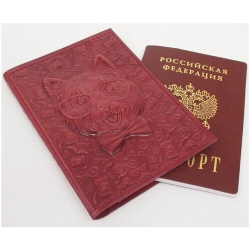 Обложка для паспорта 