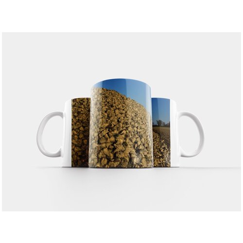 фото Кружка "сахарной свеклы, овощи, сахар" 320 мл lotsprints