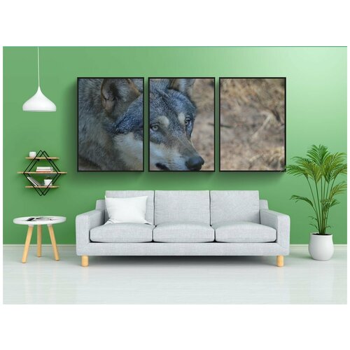 фото Набор модулных постеров для интерьера "волк, голова волка, дикое животное" 60x90 см. в тубусе, без рамки lotsprints