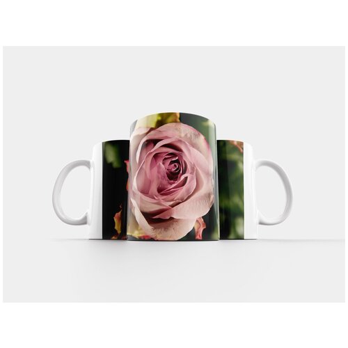 фото Кружка "розовый, цветок, природа" 320 мл lotsprints