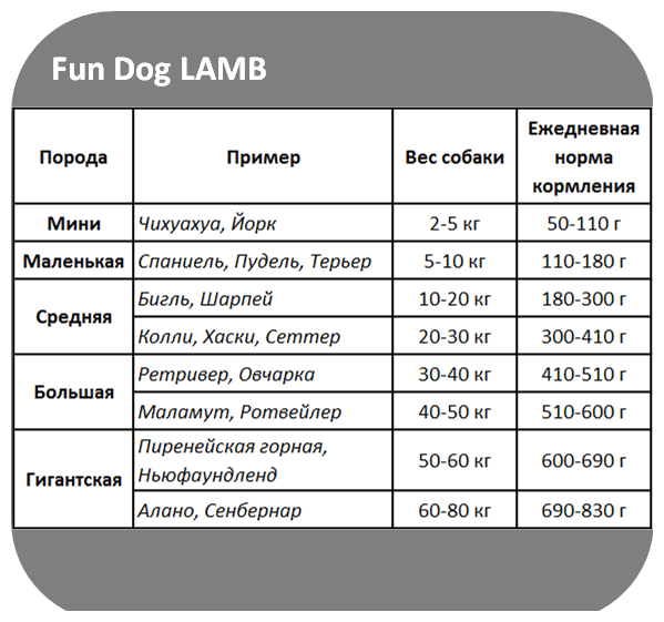 Сухой корм Farmina Fun dog для взрослых собак, ягненок, 10кг - фото №2