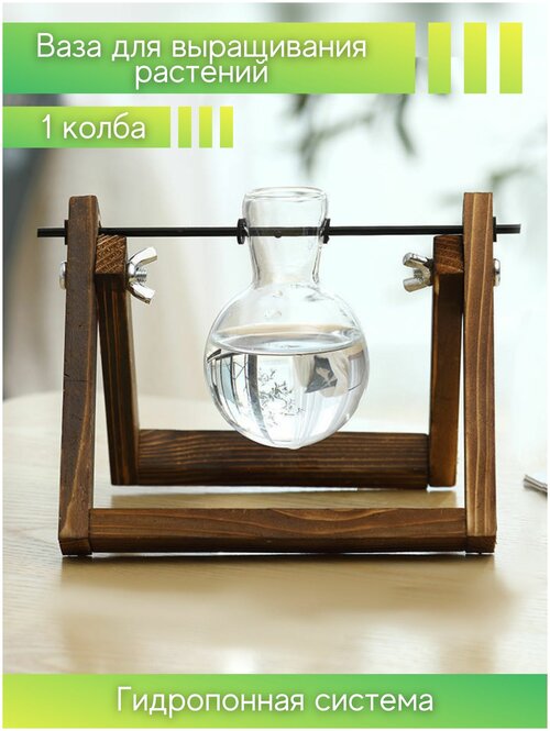 Гидропонная ваза 1 штука стекло, набор горшков для цветов, ваза - колба на деревянной подставке, гидропоника