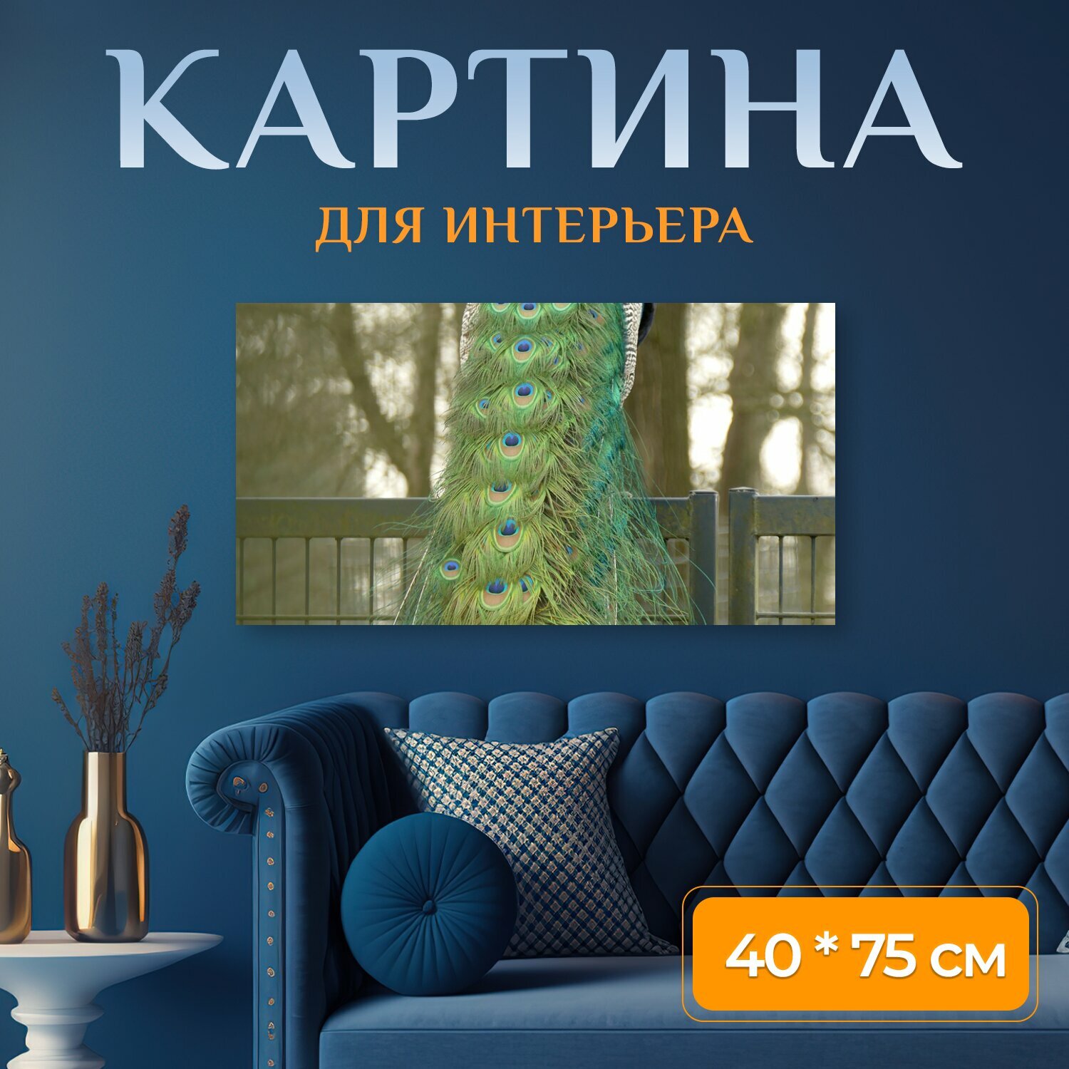 Картина на холсте "Павлин, птица, перья" на подрамнике 75х40 см. для интерьера