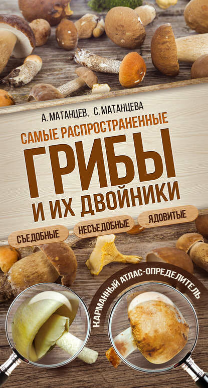 Самые распространенные грибы и их двойники съедобные, несъедобные, ядовитые [Цифровая книга]