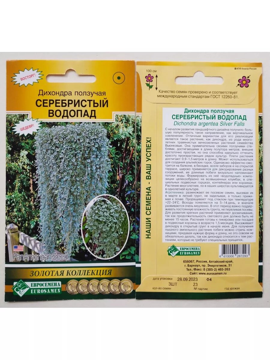 Дихондра Серебристый водопад